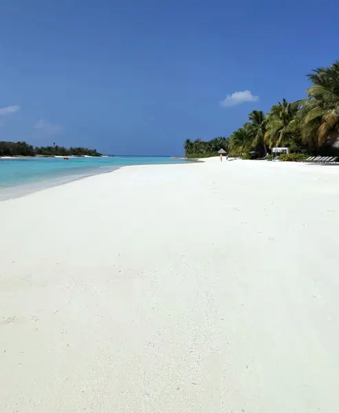White sand beach, Maldives